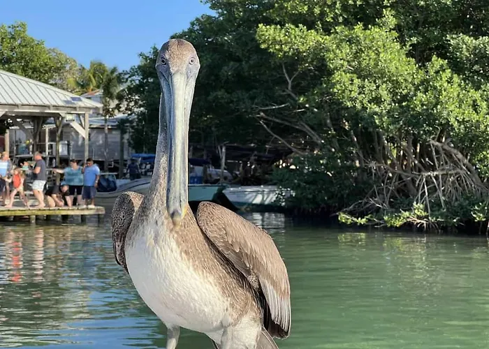 Bella Mar- Oceanfront By Floreo * San Pedro (Ambergris Caye)